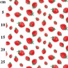 Polycotton Fabric Strawberries Tossed Strawberry Food Fruit