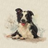 Cotton Rich Linen Look Fabric Border Collie Dog Or Panel Upholstery