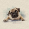 Cotton Rich Linen Look Fabric Pug Dog Or Panel Upholstery