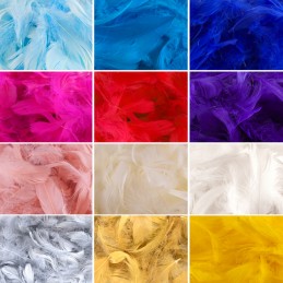 Eleganza Mixed Size Feathers 50g Bag 3"-5" Feather Craft Costume Cosplay