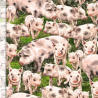 100% Cotton Fabric Timeless Treasures Pigs Piglets Farm Animals Pig