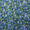 100% Cotton Fabric Timeless Treasures Field Of Bluebonnets Floral