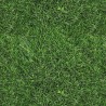 100% Cotton Digital Fabric Grass Field Garden Crafty 140cm Wide