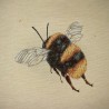 Tapestry Fabric Bumble Bee or Panel Upholstery Furnishings Curtains 140cm Wide