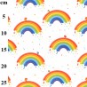 100% Cotton Digital Fabric Rose & Hubble Rainbow Drops Birds Pride 150cm Wide