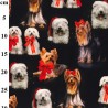 Cotton Jersey Digital Fabric John Louden Christmas Dogs Xmas Animals 145cm Wide