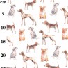 100% Cotton Digital Fabric Rose & Hubble Dogs Puppy Dog Animals 150cm Wide