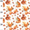 100% Cotton Digital Fabric Rose & Hubble Squirrels Nuts Animals 150cm Wide