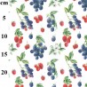 100% Cotton Digital Fabric Rose & Hubble Autumn Fruits Raspberries 150cm Wide
