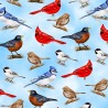 100% Cotton Fabric Timeless Treasures Birds Perched Bird Animals