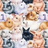 Cotton Jersey Fabric Little Johnny Bunny Fluffle Easter Bunnies Rabbits Animals