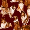 100% Cotton Fabric Timeless Treasures Lassie Rough Collie Dogs Dog Animals