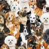 100% Cotton Fabric Timeless Treasures Bunched Dogs Dog Pups Animals 110cm Wide