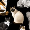 100% Cotton Fabric Timeless Treasures Relaxed Cats Kittens Persian Bengal