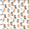 100% Cotton Digital Fabric Rose & Hubble Cute Kittens Cats