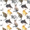 100% Cotton Digital Fabric Rose & Hubble Meow Content Cats