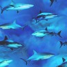 100% Cotton Fabric Timeless Treasures Swimming Sharks Sea Creatures Animal Ocean