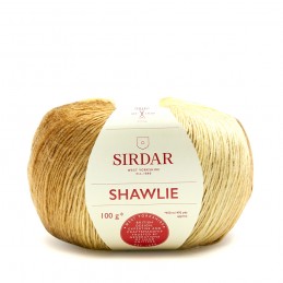 Sirdar 100g Shawlie Self Striping Sport Weight Knitting Crochet Yarn Ball Wool Chrysanthemum