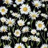 100% Cotton Fabric Nutex Flower Market Floral Daisies Ewart Street