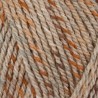 Stylecraft Colour Twist DK Knitting Yarn Craft Crochet Premium Acrylic 100g Ball