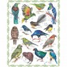 100% Cotton Fabric Panel Nutex New Zealand Natives Bird Birds Wildlife Animal