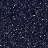 100% Cotton Poplin Fabric Rose & Hubble Stars Solar System Space Zodiac