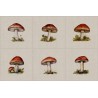 Cotton Rich Linen Look Fabric Digital Botanical Toadstools Mushroom Panel