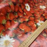 SALE Vinyl PVC Tablecloth Fabric Strawberries and Daisies Strawberry 140cm Wide