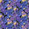 100% Cotton Fabric Nutex Pansy Flower Market Floral Cassia Green Spring Summer