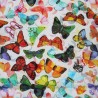 100% Cotton Fabric Little Johnny Butterfly Ballet Flower Insect Summer Dress