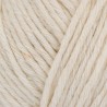 Stylecraft ReCreate Recycled Chunky Double Knitting Yarn Craft Crochet 100g Ball