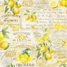 100% Cotton Digital Fabric Timeless Treasures Fruit Lemons Orchard 112cm Wide