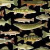 100% Cotton Fabric Timeless Treasures Nature Fish Fishes River Carp 112cm Wide