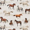 100% Cotton Digital Fabric Timeless Treasures Wild Horses Racing West 112cm Wide