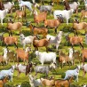 100% Cotton Digital Fabric Timeless Treasures Goats Farm Rolling Hill 112cm Wide