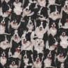 (REMNANT) 100% Cotton Fabric Makower Border Collie Dogs Farm Animals Sheep Dog  30cm x 112cm