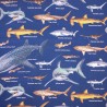 100% Japanese Cotton Fabric Nutex Sakana Sharks Nautical Sea Sealife 110cm Wide