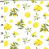 100% Cotton Poplin Fabric Rose & Hubble Cut Lemons Floral