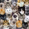 100% Cotton Digital Fabric Timeless Treasures Packed Mixed Breeds Of Cats 112cm Wide