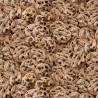 100% Cotton Digital Fabric Timeless Treasures Chocolate Chip Cookies 112cm Wide