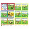 100% Cotton Fabric Nutex Dinosaur Book Panel 90cm x 112cm