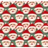 100% Cotton Digital 3D Fabric Little Johnny Christmas Santa 149cm Wide