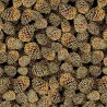 100% Cotton Metallic Fabric | Timeless Treasures | Packed Pinecones | 112cm Wide