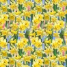100% Cotton Digital Fabric Timeless Treasures Yellow Daffodil Flowers 112cm Wide