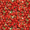 100% Cotton Digital Fabric Timeless Treasures Packed Sweet Strawberries 112cm Wide