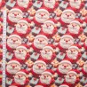 100% Cotton Digital 3D Fabric Little Johnny Christmas Santa 150cm Wide