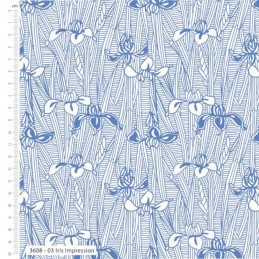 Cotton Viscose Fabric V&A...