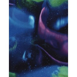 100% Cotton Digital Fabric...