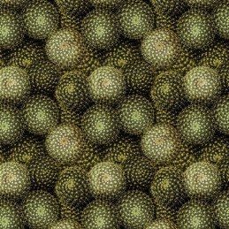 100% Cotton Digital Fabric...