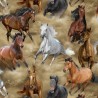 100% Cotton Digital Fabric Timeless Treasures Running Horses Wild Horses Collection 112cm Wide